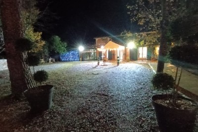 Salon lumineux avec mobilier en résine tressée, plantes vertes, tapis rond en jute et rideaux sombres.