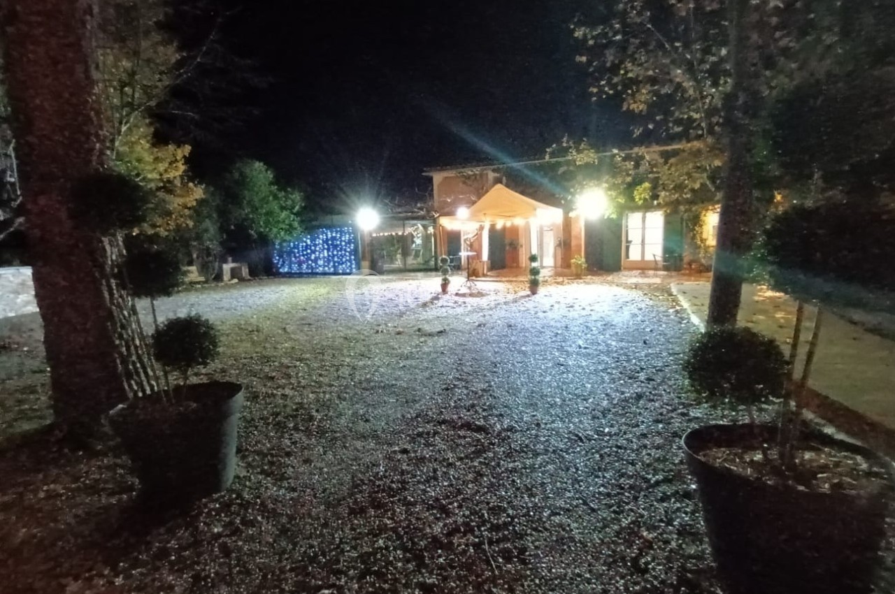Cour extérieure d'une maison éclairée la nuit, avec des arbres, des plantes en pot et un sol en gravier.