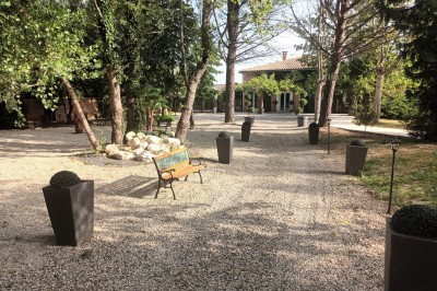 Salon lumineux avec mobilier en résine tressée, plantes vertes, tapis rond en jute et rideaux sombres.