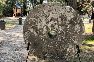 Salon lumineux avec mobilier en résine tressée, plantes vertes, tapis rond en jute et rideaux sombres.