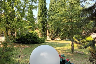 Salon lumineux avec mobilier en résine tressée, plantes vertes, tapis rond en jute et rideaux sombres.