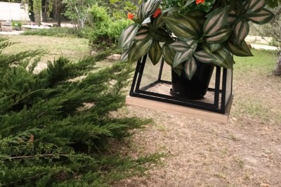 Salon lumineux avec mobilier en résine tressée, plantes vertes, tapis rond en jute et rideaux sombres.
