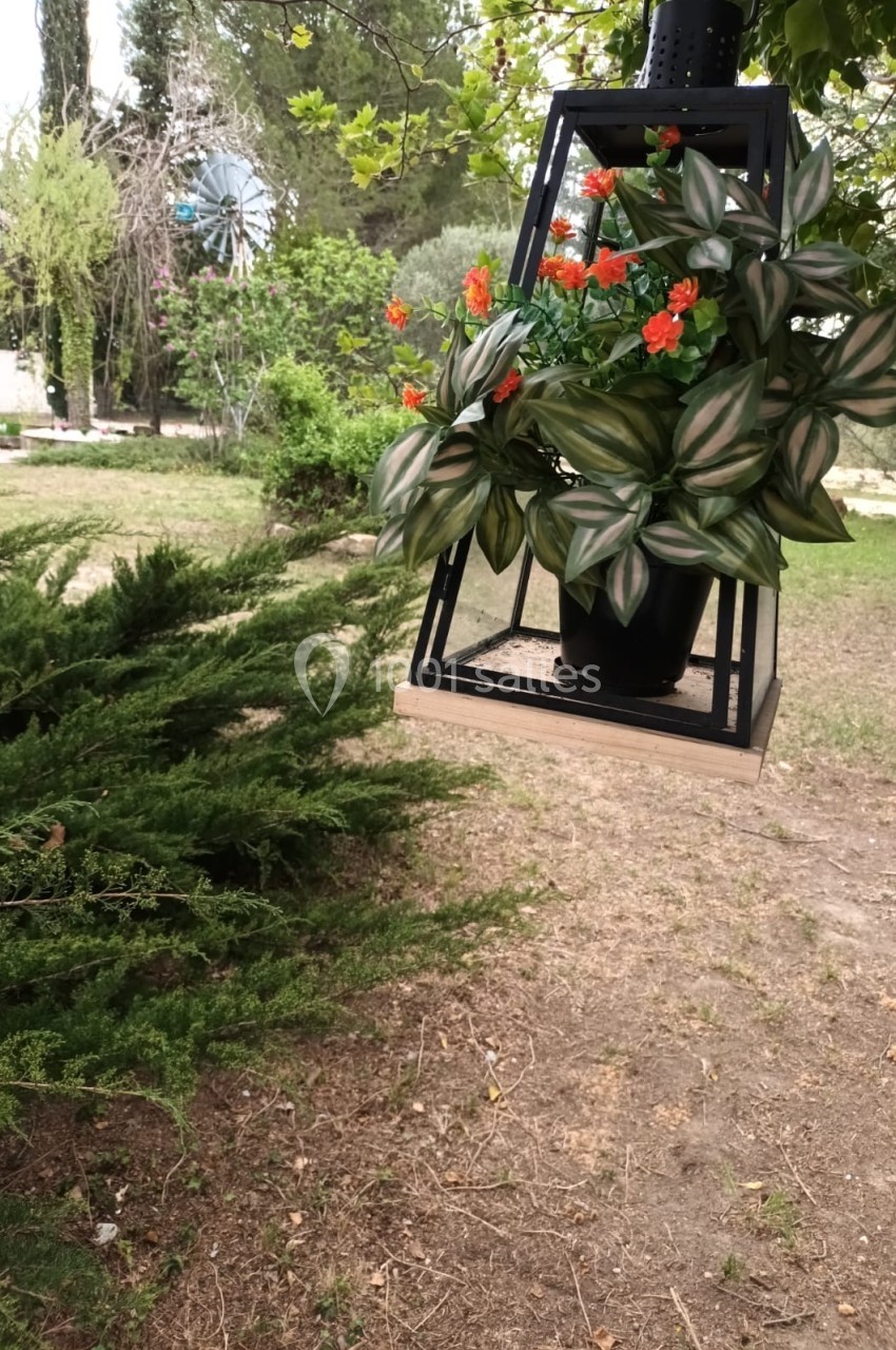 Plante suspendue dans un pot noir avec des fleurs orange et feuillage rayé, dans un jardin verdoyant.