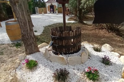 Salon lumineux avec mobilier en résine tressée, plantes vertes, tapis rond en jute et rideaux sombres.