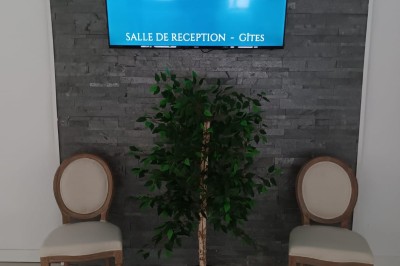 Salon lumineux avec mobilier en résine tressée, plantes vertes, tapis rond en jute et rideaux sombres.