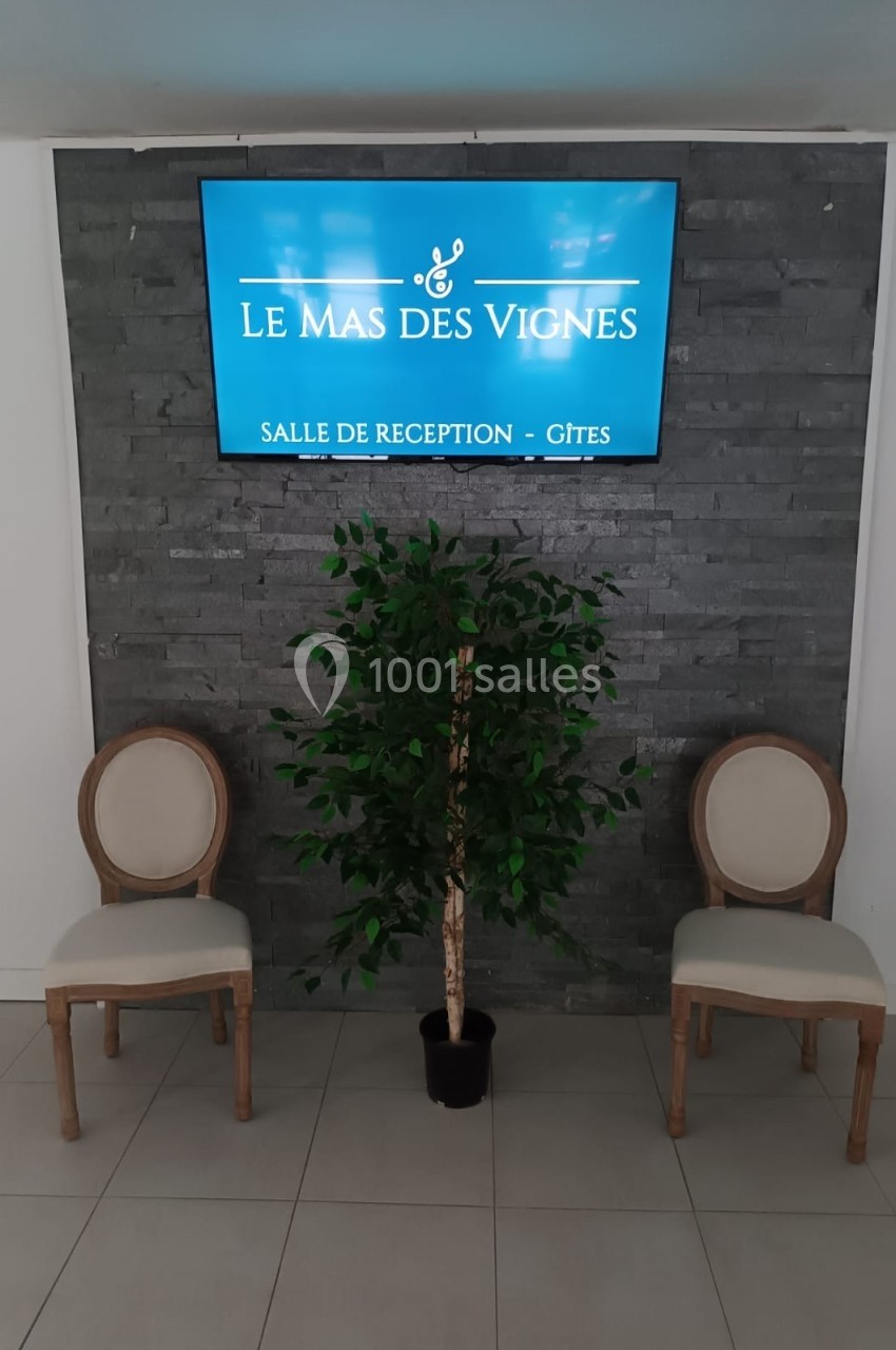 Deux chaises en bois et un plante en pot devant un mur en pierre avec un écran affichant ’Le Mas des Vignes’.