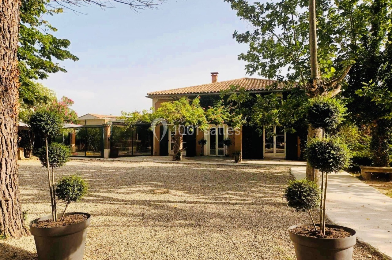 Cour extérieure avec gravier, arbres et arbustes en pots, devant une maison à toit en tuiles entourée de verdure.