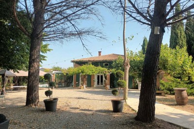 Mas des Vignes Mas des Vignes