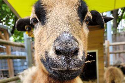 Location salle Issy-les-Moulineaux (Hauts-de-Seine) - Les Bergeries d'Issy #8