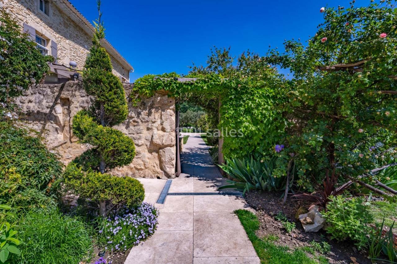 Allée pavée bordée de plantes et d'arbustes taillés, menant à une arche végétale dans un jardin ensoleillé.