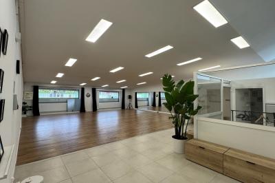 Salle lumineuse avec parquet, murs blancs, plantes décoratives et grandes fenêtres laissant entrer la lumière naturelle.
