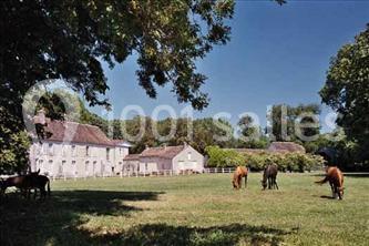 Location salle Souppes-sur-Loing (Seine-et-Marne) - Abbaye De Cercanceaux #25