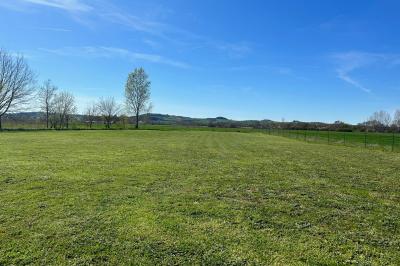 Décoration de table de mariage avec arche florale rose et blanche, bougies et arrangements floraux élégants.