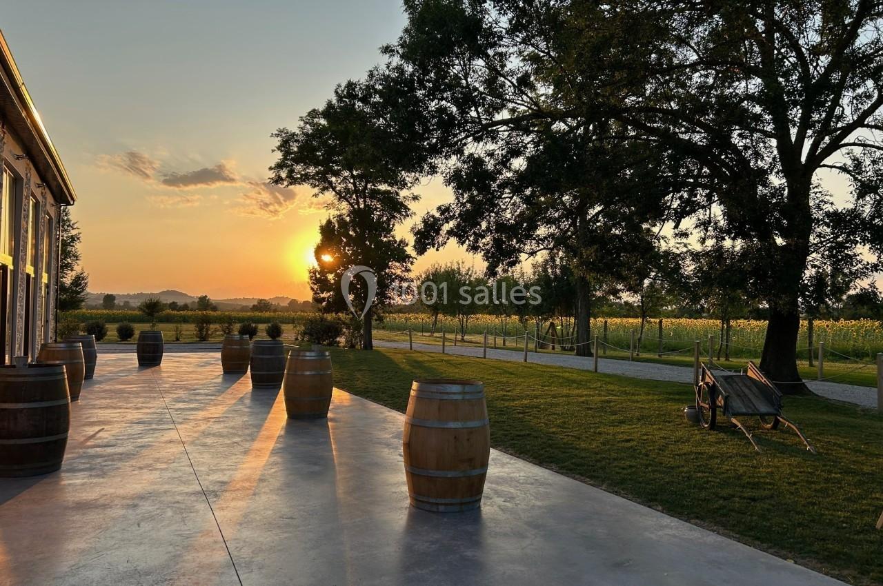 Terrasse au coucher du soleil avec des tonneaux en bois, arbres et champs en arrière-plan.