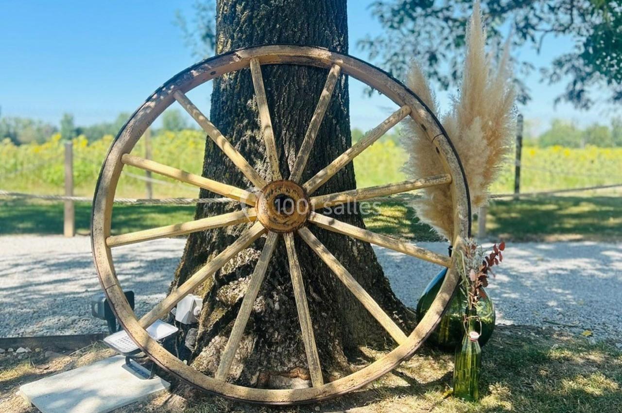 Roue en bois appuyée contre un arbre, entourée de décorations végétales et éclairée par la lumière naturelle.