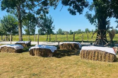 Décoration de table de mariage avec arche florale rose et blanche, bougies et arrangements floraux élégants.