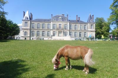 Location salle Brienon-sur-Armançon (Yonne) - Château de L'Armançon #24