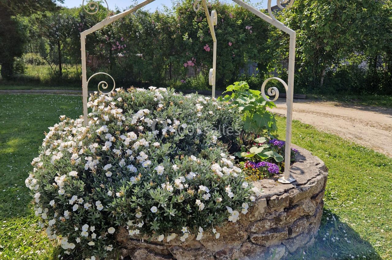Puits en pierre entouré de fleurs blanches et colorées, avec une structure métallique décorative, dans un jardin ensoleillé.