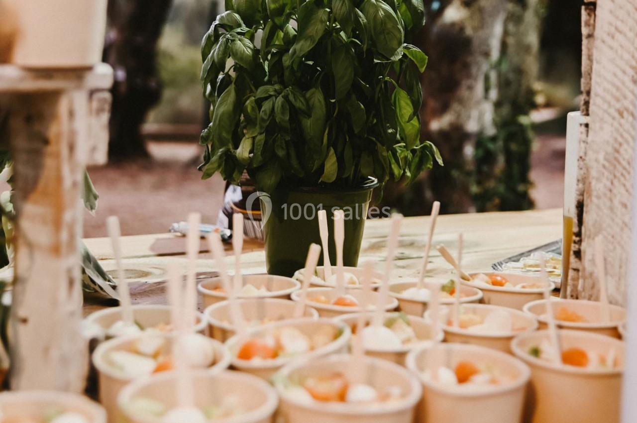 Plantes de basilic en pot derrière des bols en carton contenant des brochettes apéritives sur une table en extérieur.