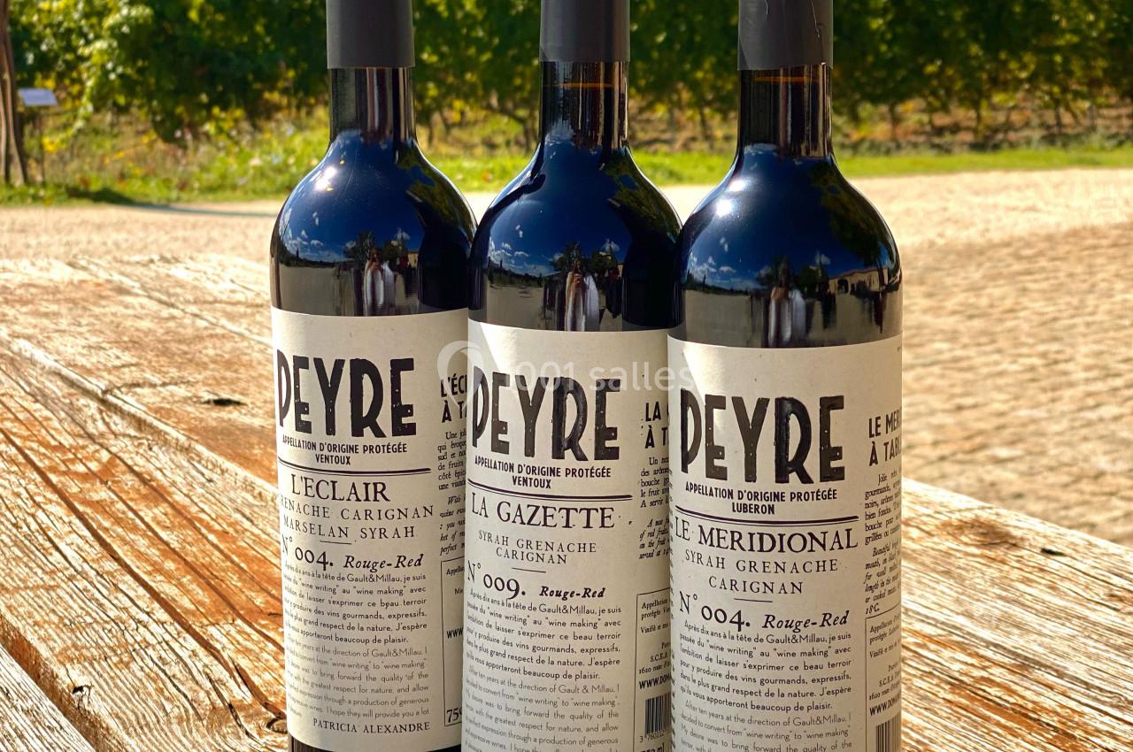 Trois bouteilles de vin rouge posées sur une table en bois, avec des vignes et un paysage en arrière-plan.