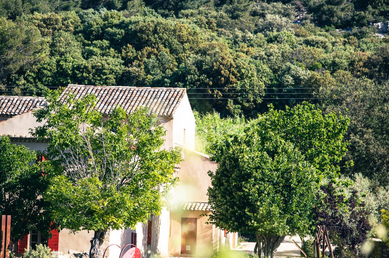 Maison provençale entourée de vignes et d'arbres, avec une colline boisée en arrière-plan.