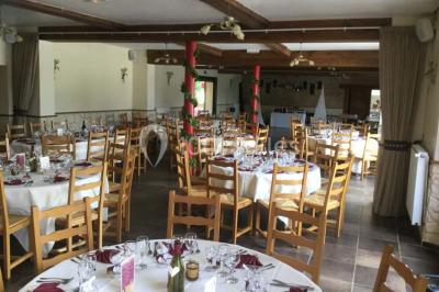 Un grand saule ombrageant un espace détente avec des palettes aménagées et des coussins sur une pelouse.