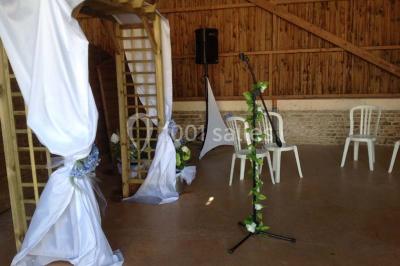 Un grand saule ombrageant un espace détente avec des palettes aménagées et des coussins sur une pelouse.