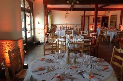 Un grand saule ombrageant un espace détente avec des palettes aménagées et des coussins sur une pelouse.