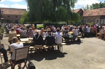 Un grand saule ombrageant un espace détente avec des palettes aménagées et des coussins sur une pelouse.