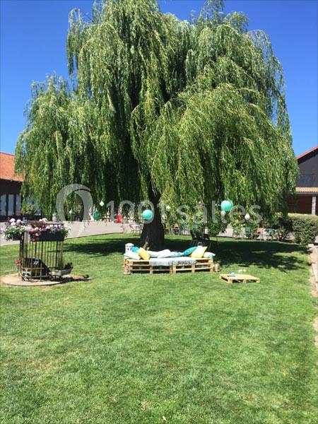Un grand saule ombrageant un espace détente avec des palettes aménagées et des coussins sur une pelouse.