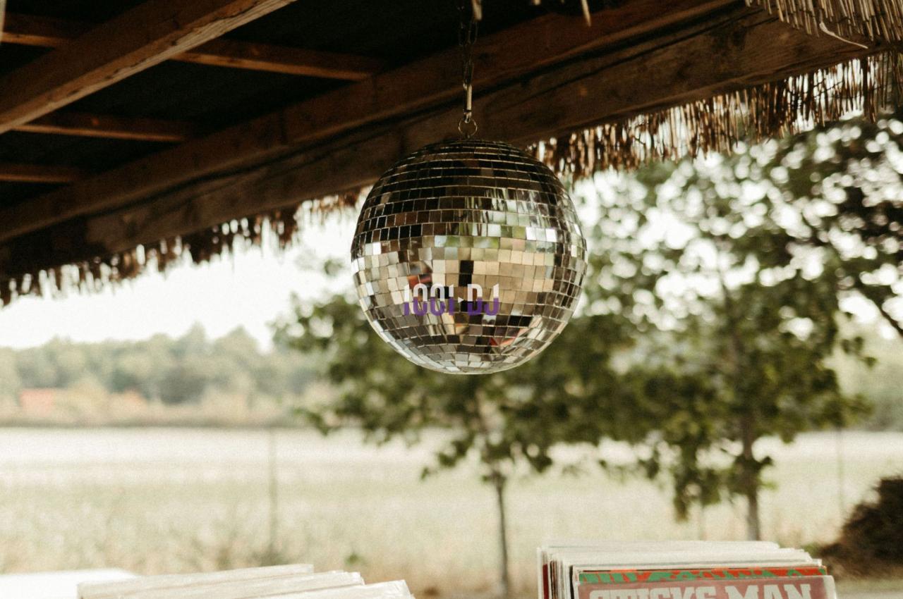 Boule à facettes suspendue sous un toit en paille, avec des caisses de vinyles au premier plan et un paysage en arrière-plan.