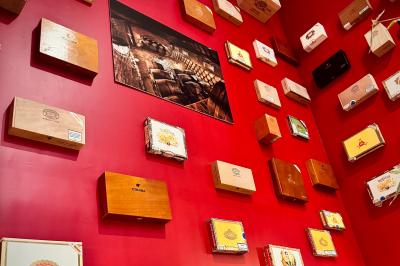 Coucher de soleil rougeoyant derrière une rangée d'arbres, vu depuis une terrasse avec mobilier et voitures garées.