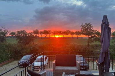 Coucher de soleil rougeoyant derrière une rangée d'arbres, vu depuis une terrasse avec mobilier et voitures garées.