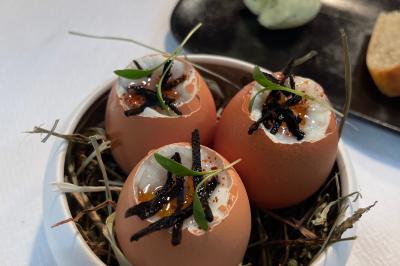 Coucher de soleil rougeoyant derrière une rangée d'arbres, vu depuis une terrasse avec mobilier et voitures garées.