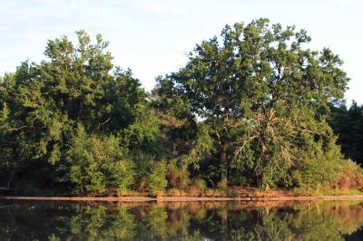 Location salle Pierrefitte-sur-Sauldre (Loir-et-Cher) - Domaine du Grand Nouer #31