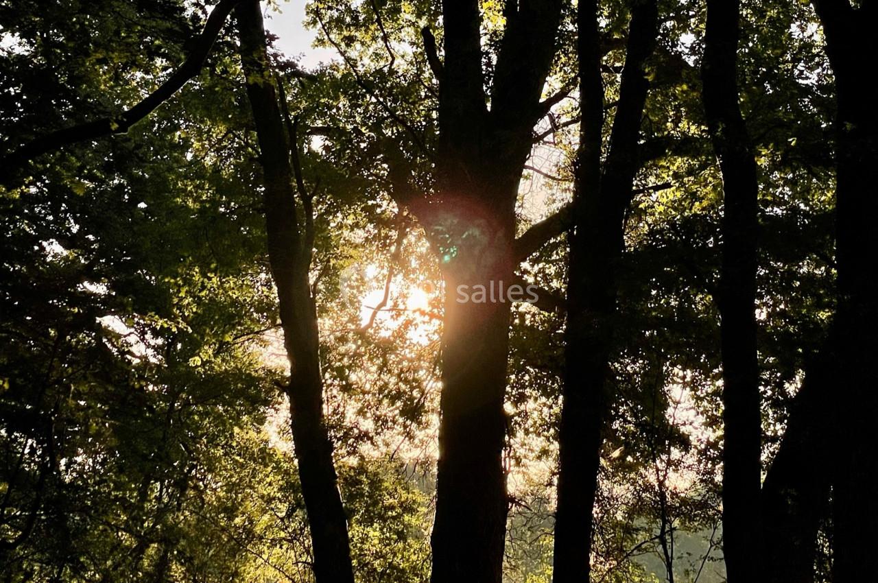 Location salle Pierrefitte-sur-Sauldre (Loir-et-Cher) - Domaine du Grand Nouer #31