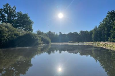Location salle Pierrefitte-sur-Sauldre (Loir-et-Cher) - Domaine du Grand Nouer #50