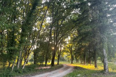 Location salle Pierrefitte-sur-Sauldre (Loir-et-Cher) - Domaine du Grand Nouer #50