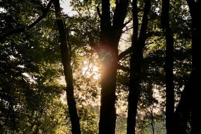 Location salle Pierrefitte-sur-Sauldre (Loir-et-Cher) - Domaine du Grand Nouer #50