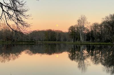 Location salle Pierrefitte-sur-Sauldre (Loir-et-Cher) - Domaine du Grand Nouer #50