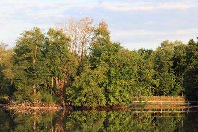 Location salle Pierrefitte-sur-Sauldre (Loir-et-Cher) - Domaine du Grand Nouer #50