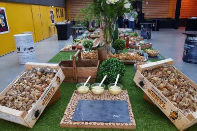 Plateau de légumes croquants, dips et charcuterie disposés sur une table en extérieur, avec des décorations végétales.