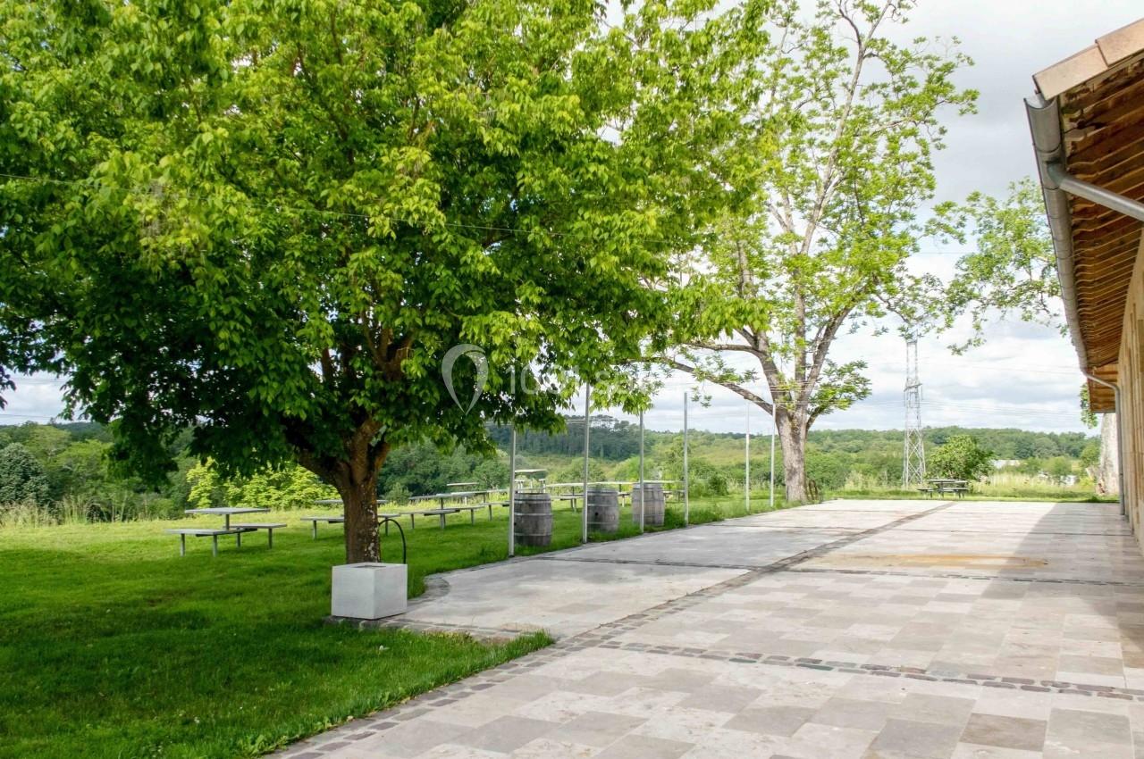 Terrasse en pierre bordée d'arbres avec vue sur un espace vert et des tables de pique-nique à l'arrière-plan.