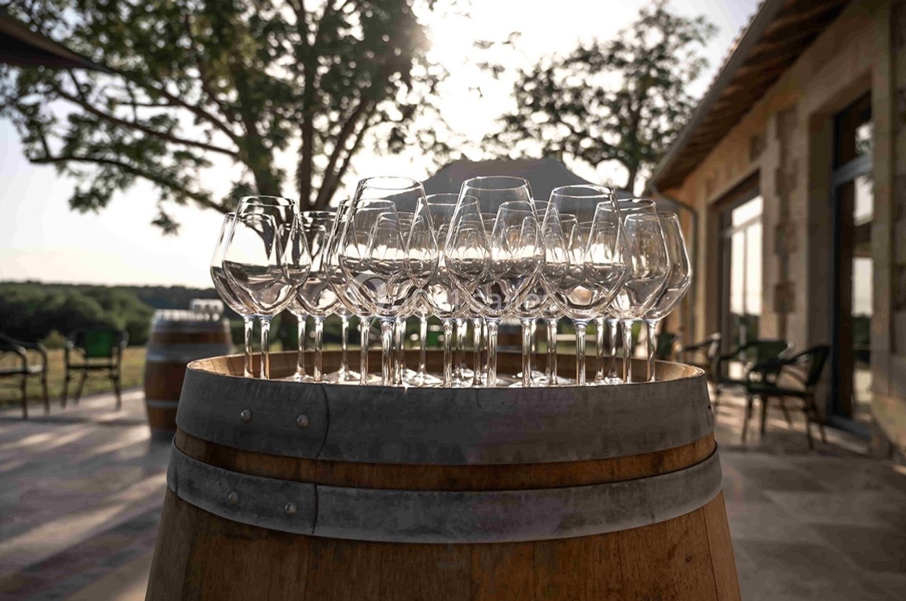 Verres à vin alignés sur un tonneau en bois, en extérieur, avec un paysage ensoleillé et des arbres en arrière-plan.