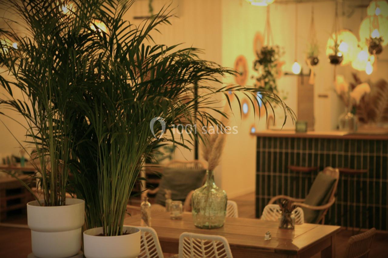 Plantes vertes en pots décorant un espace intérieur chaleureux avec mobilier en bois et éclairage tamisé.