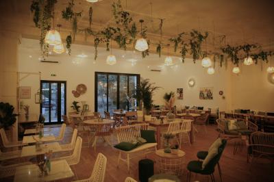 Plantes vertes en pots décorant un espace intérieur chaleureux avec mobilier en bois et éclairage tamisé.