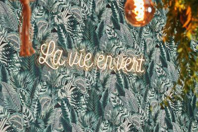 Plantes vertes en pots décorant un espace intérieur chaleureux avec mobilier en bois et éclairage tamisé.