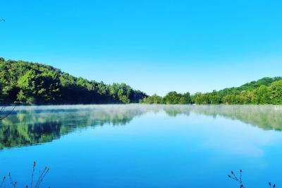 Miniature Location salle Prayssas (Lot-et-Garonne) - Camping du Lac de Néguenou #5 Location salle Prayssas (Lot-et-Garonne) - Camping du Lac de Néguenou #22