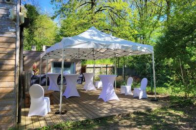 Musiciens mariachi jouant de la trompette, de la guitare et du violon dans une salle décorée de couleurs vives et de…