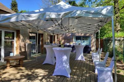 Musiciens mariachi jouant de la trompette, de la guitare et du violon dans une salle décorée de couleurs vives et de…
